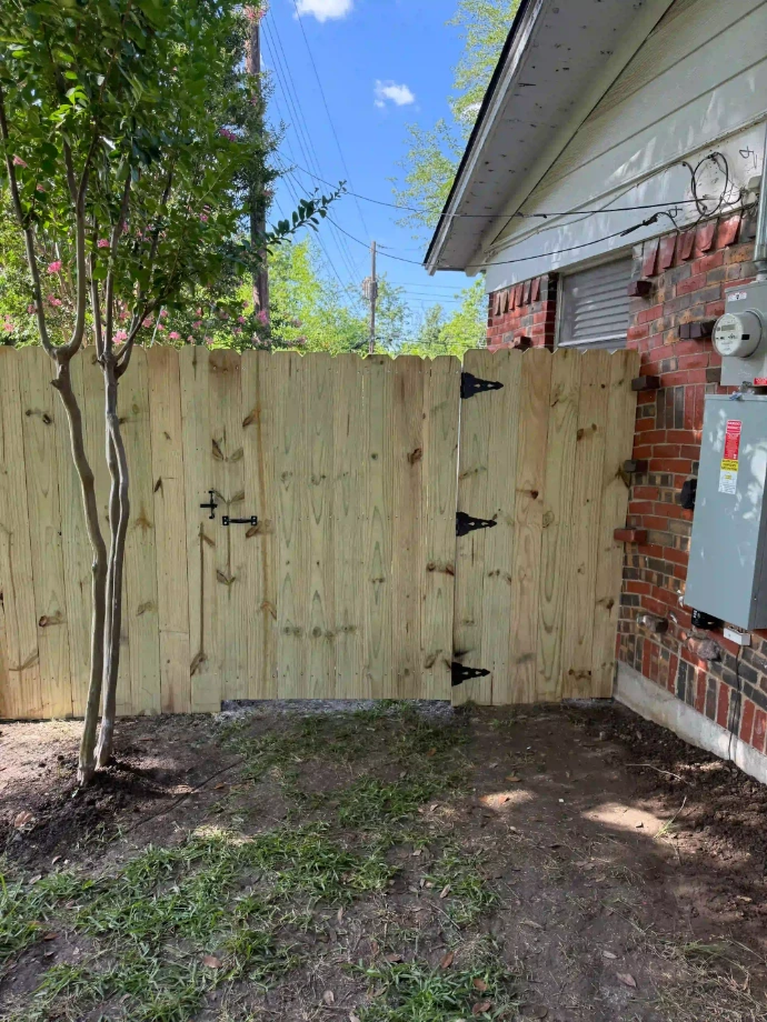 Residential tree service project in Haltom City